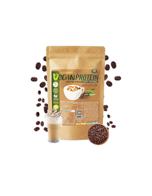 VEGAN PROTEIN 900g